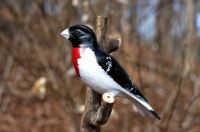 Wendy Lichtensteiger, Woodcarvings, Vermont